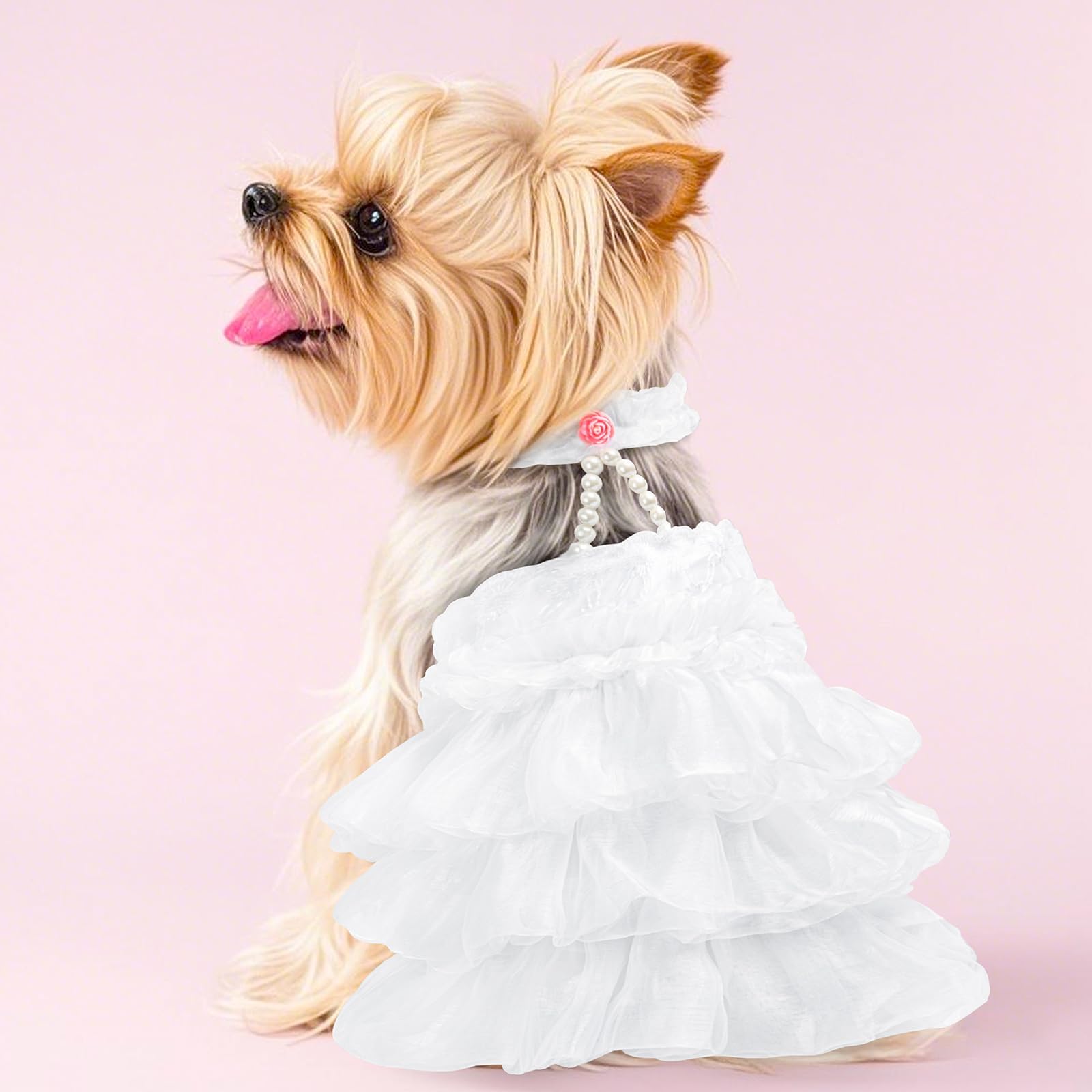 Amazon.com : SHIAOMIN Dog Wedding Dress Bride Outfit with Pearl